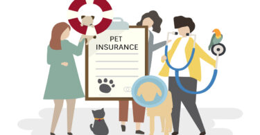 How does pet insurance work