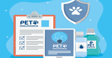 How much does pet insurance cost